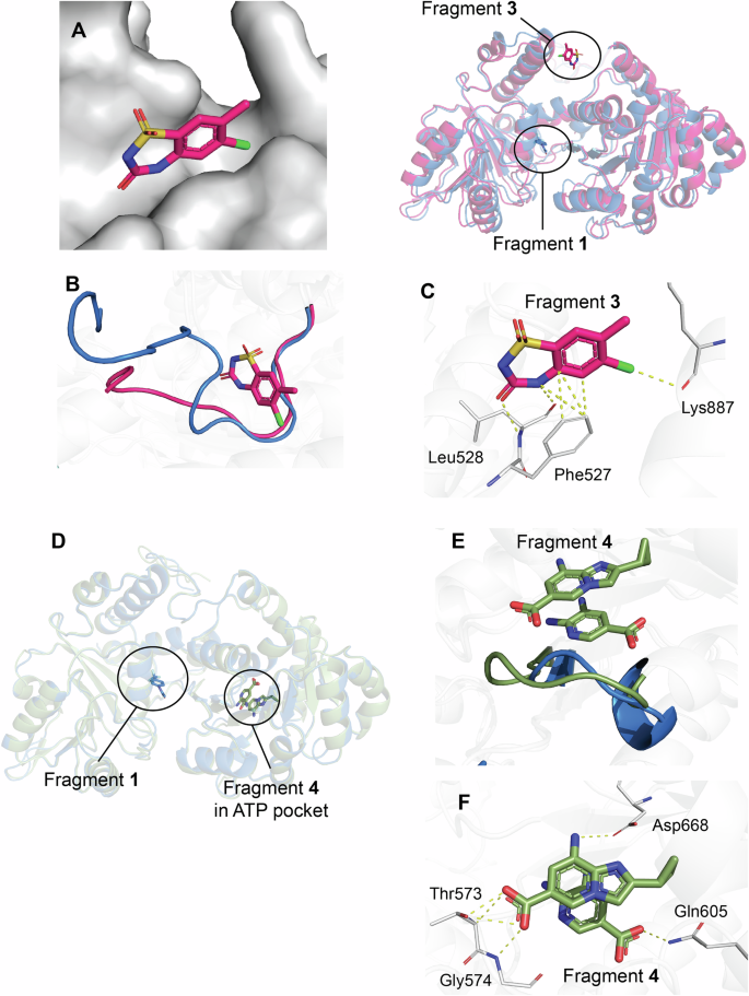 Fig. 6: Fragments bound outside of the known allosteric binding pocket.