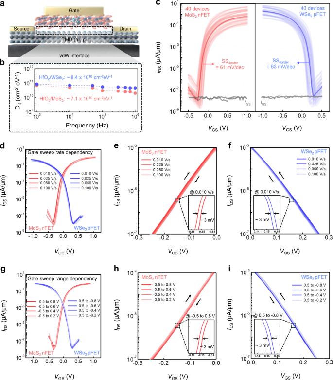 Fig. 3: vdW interface-integrated MoS2 n-type field-effect transistor (nFET) and WSe2 p-type field-effect transistor (pFET).