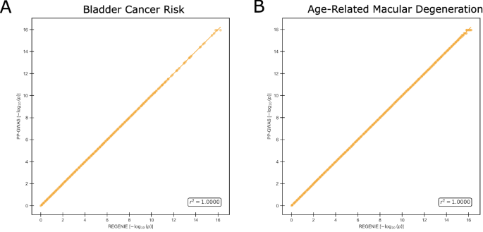 Fig. 2: Accuracy of PP-GWAS against REGENIE (centralized) on real-world datasets.