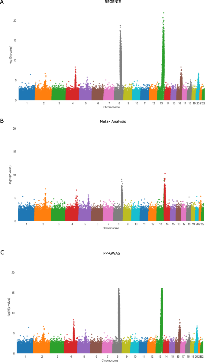 Fig. 7: Manhattan Plots of REGENIE, meta-analysis, and PP-GWAS.