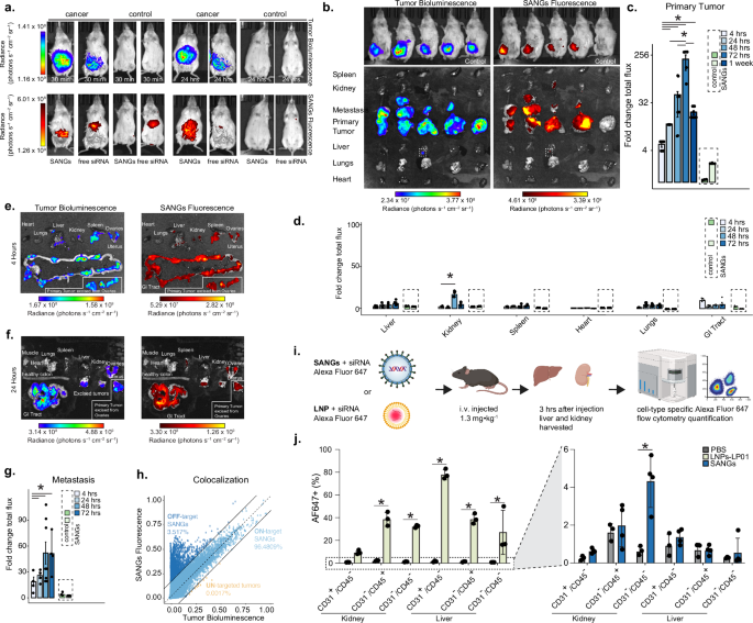 Fig. 3: Preferential biodistribution in primary and metastatic tumors and comparison with LNP.
