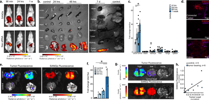 Fig. 4: Tumor agnostic, cross species in vivo and ex vivo biodistribution.