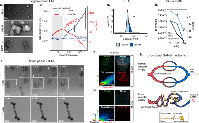 Fig. 6: Tests of tumor-agnostic delivery mechanism.