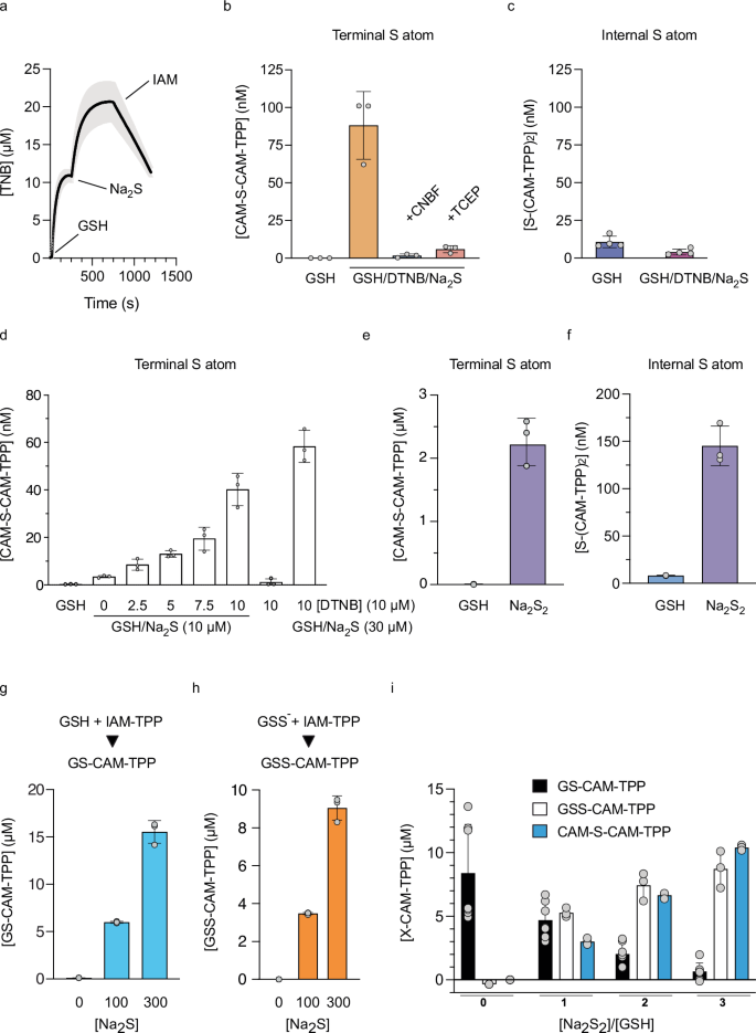 Fig. 4: Quantification of persulfides and polysulfides on GSH.