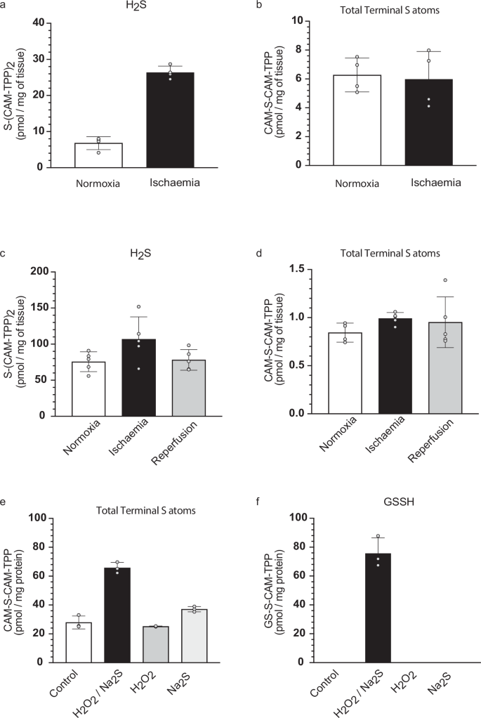 Fig. 6: Analysis of the ischaemic heart and oxidatively stressed mitochondria.