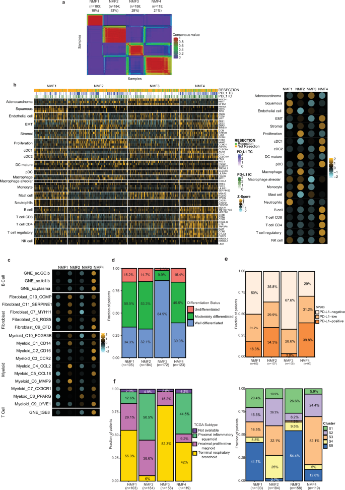 Fig. 1: Transcriptional classification reveals four subtypes of non-squamous NSCLC with distinct biologies.