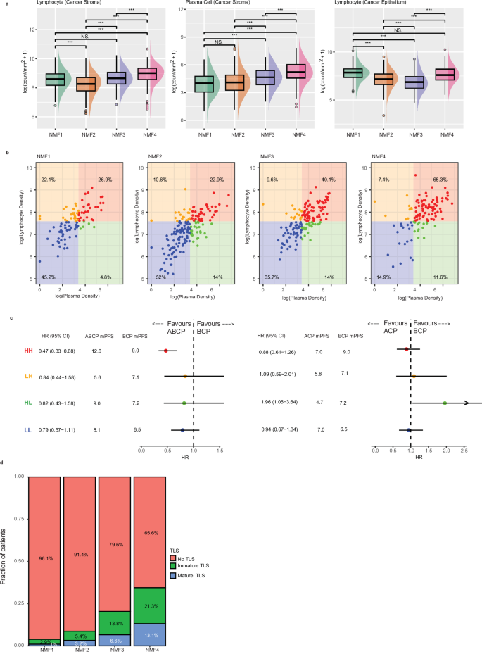 Fig. 4: NSCLC subtypes have different stromal pathologic features and treatment outcomes.