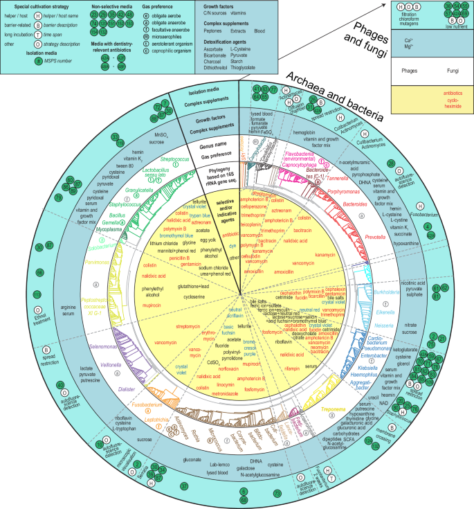 Fig. 2: Characteristics of culturomics.