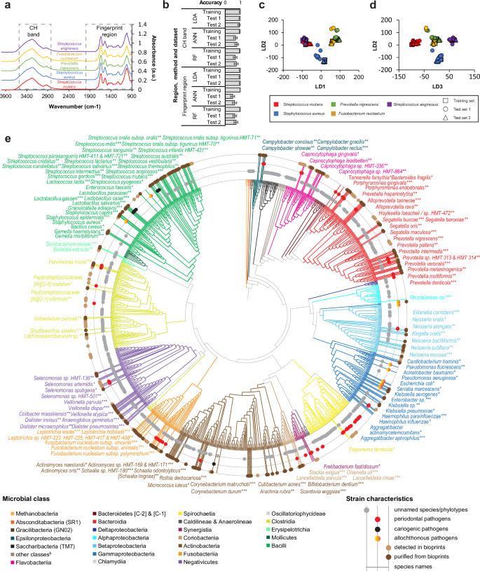 Fig. 5: Taxonomy of species detected in bioprints and isolates.