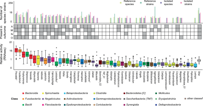 Fig. 6: Culture collection to study biofilms from peri-implantitis.