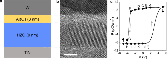 Fig. 1: Microstructure and hysteresis loop of designed FTJ device.