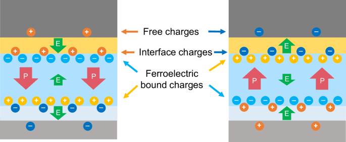 Fig. 4: Charge and electric field (E) distribution for both the down and up states of polarisation (P) in HZO.
