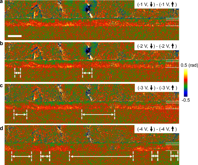 Fig. 5: Phase images highlighting the polarisation switching dynamics.
