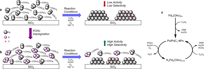 Fig. 6: Conversion of Pd-acetate species into Pd and PdCx nanoparticles.