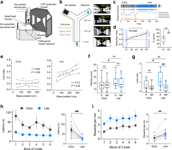 Fig. 1: Mice choice performance and adaptive motivation in the VR-RL task.