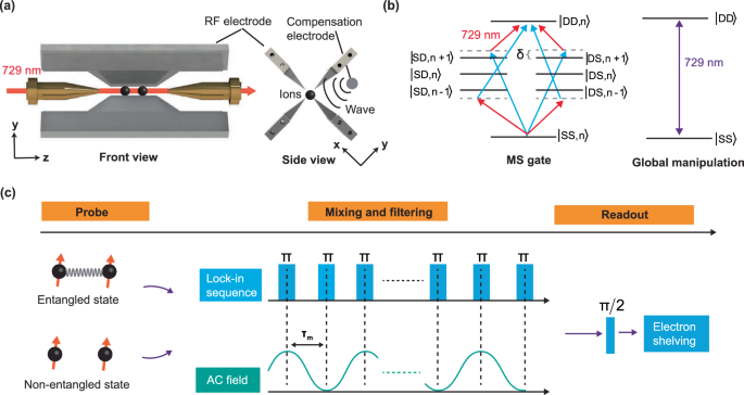 Fig. 1: The schematic diagram of our two-ion QLID scheme.