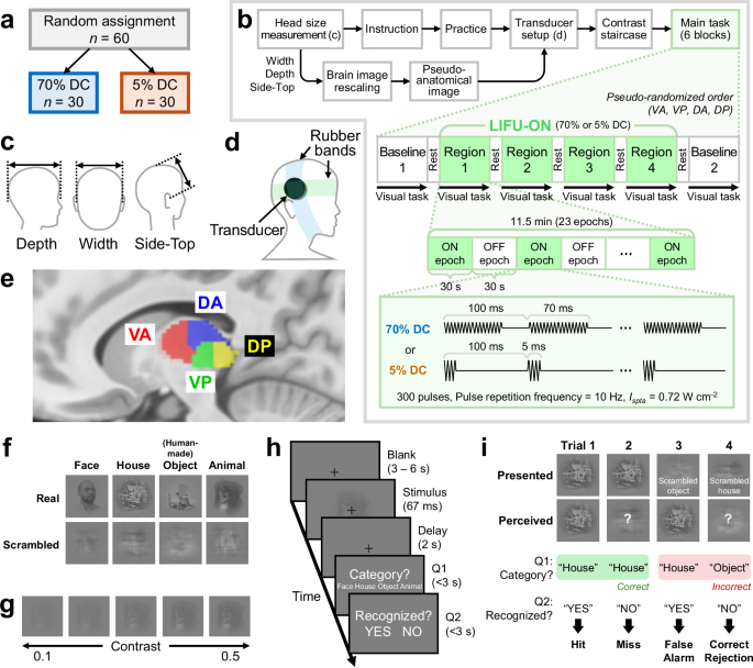 Fig. 1: Overview of the block design, experimental setup, and behavioral paradigm.