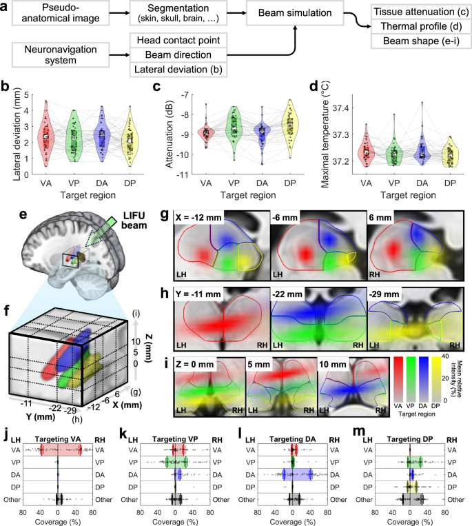 Fig. 2: Post-hoc LIFU beam analysis and targeting accuracy.