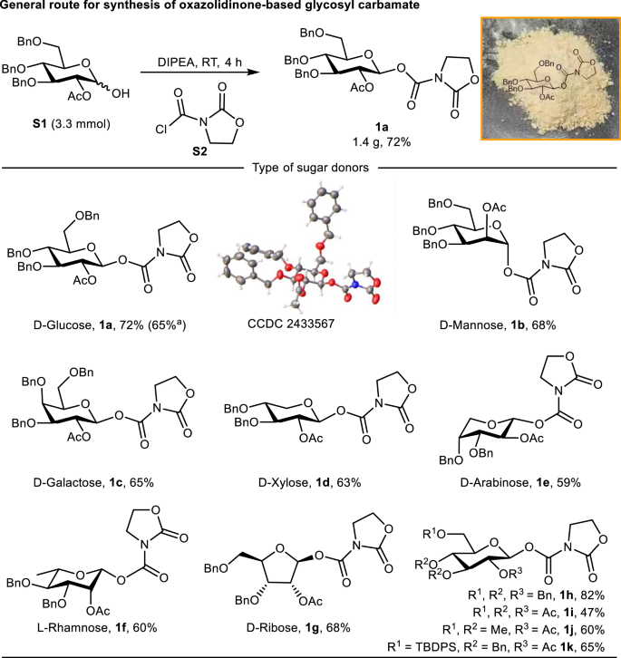 Fig. 2: Synthesis of oxazolidinone-based glycosyl carbamates.
