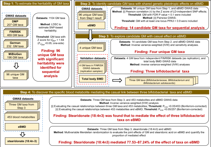 Fig. 1: Study design.