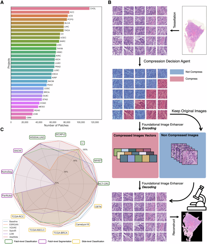 Fig. 1: Overview of AdaSlide.