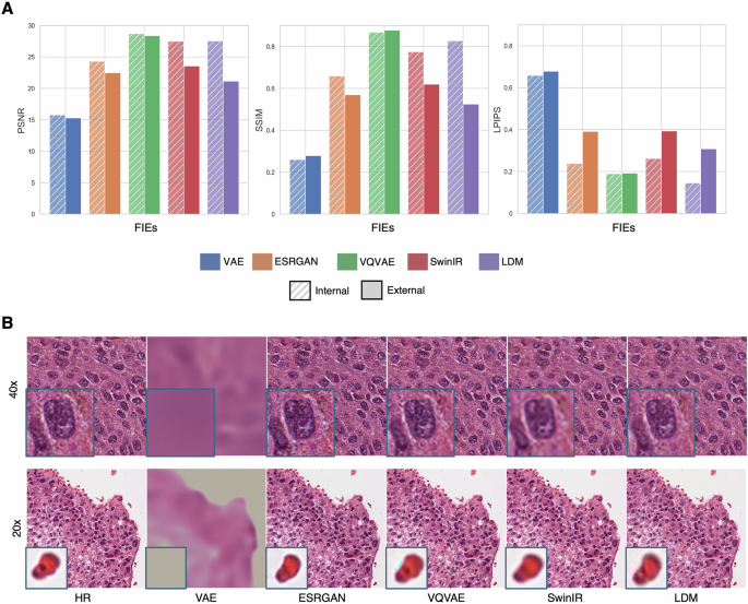 Fig. 3: Overview of FIEs.