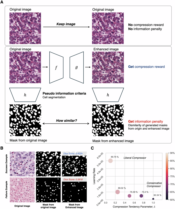 Fig. 4: Overview of the CDA.