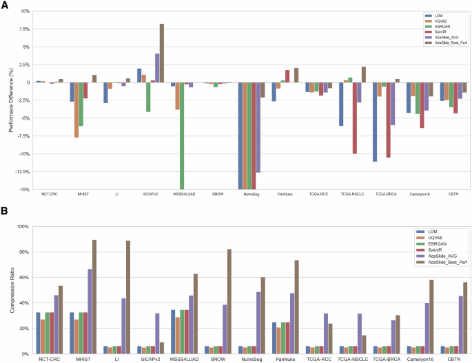 Fig. 5: Overview of various downstream tasks.