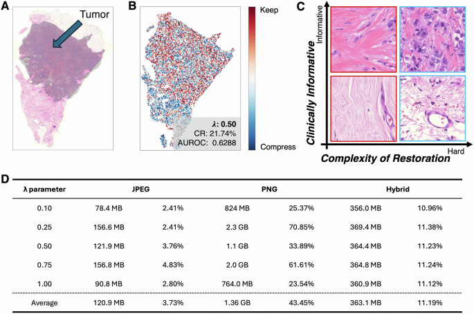 Fig. 6: Example output of AdaSlide on a sample from the TCGA-BRCA dataset.