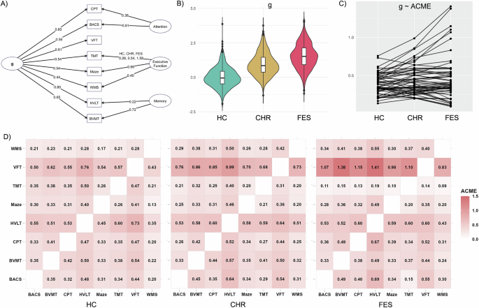 Fig. 3: Relationships between the general cognitive factor (g) and cognitive connectivity across early psychosis.