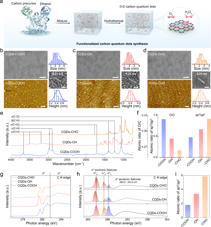 Fig. 1: Morphological and structural characterization of CQDs-OH, CQDs-CHO, and CQDs-COOH.