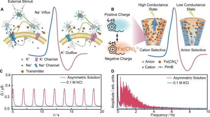 Fig. 1: Oscillating ion current spikes of FON.