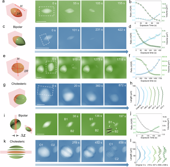 Fig. 2: Manipulation of amyloid tactoids by 3D-Heating.