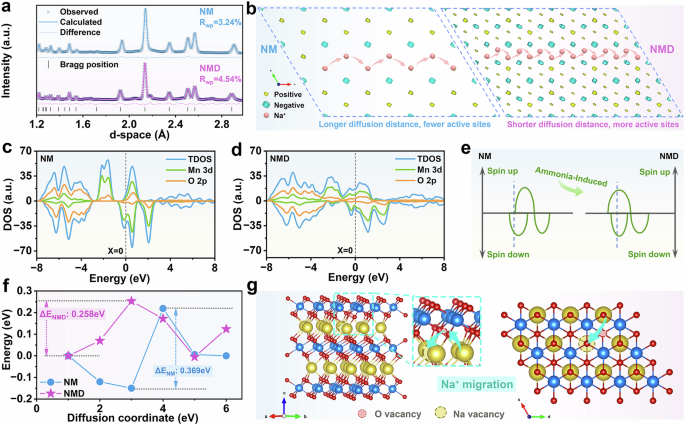 Fig. 5: Na+ transport mechanism.