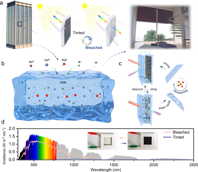 Fig. 1: Schematic illustration of hydrogel-based reversible CuZn metal electrodeposition devices for smart window applications.