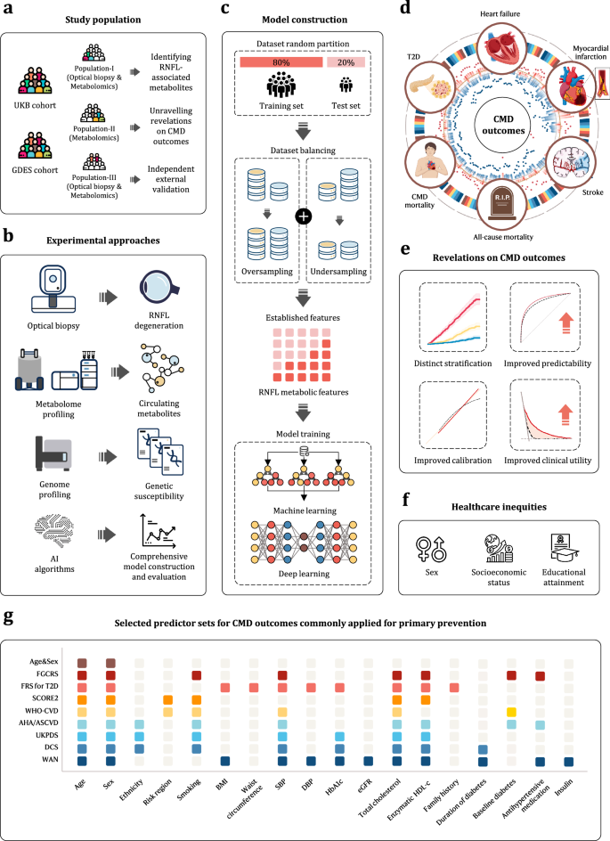 Fig. 1: Overview of the study design.