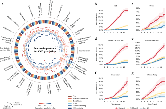 Fig. 2: RNFLT metabolic state profile stratifies CMD outcome risk.