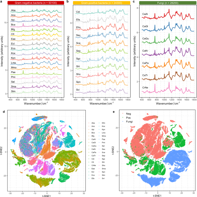 Fig. 5: Single-cell Raman database of 342 clinical isolates.