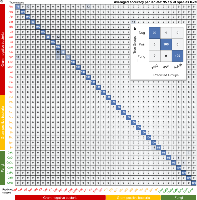 Fig. 6: Confusion matrix showing the classification performance of the ResNet model on 342 clinical isolates spanning.