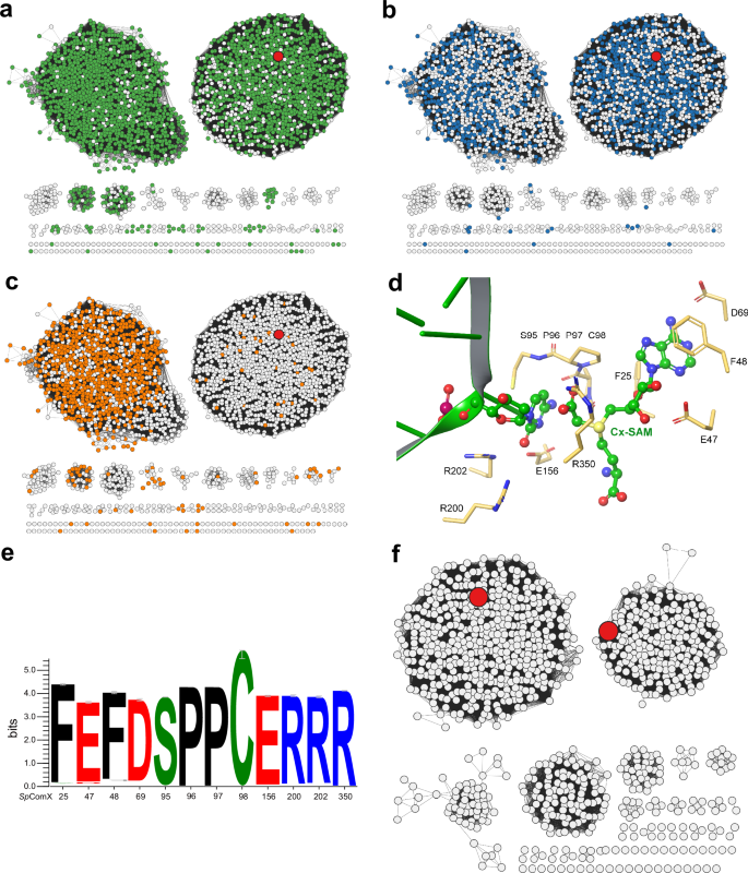 Fig. 8: Bioinformatic support for a two-step cytosine modification pathway in phages.