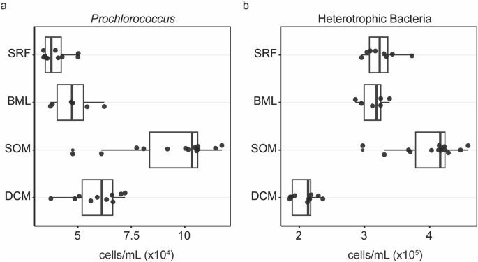 Fig. 5: Bulk cellular abundances of Prochlorococcus and heterotrophic bacteria.