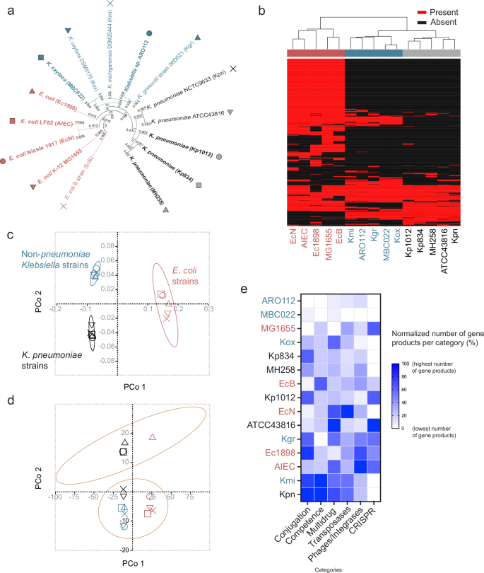 Fig. 1: ARO112 genomic comparison with other Enterobacteriaceae strains from the Klebsiella and Escherichia genera for their pathogenic potential.