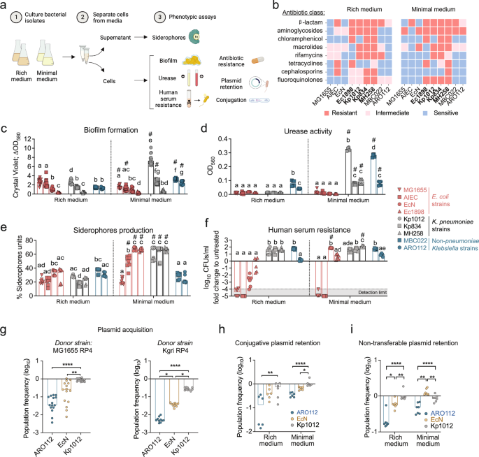 Fig. 2: Phenotypical evaluation of ARO112 and other Enterobacteriaceae strains for nosocomial-related pathogenic factors important for host invasion and colonization.