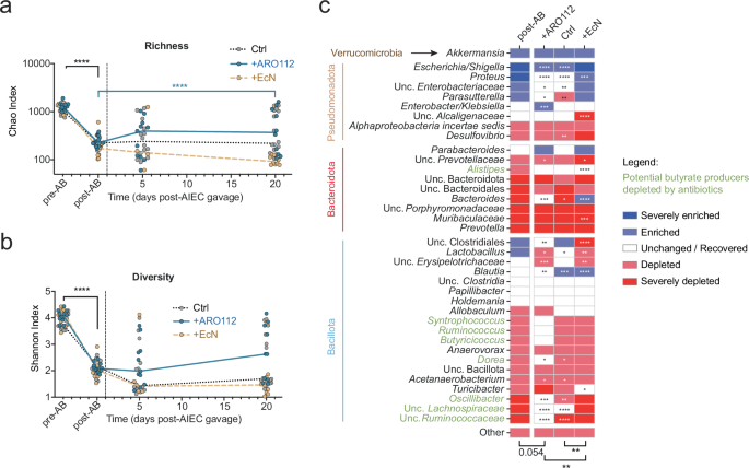 Fig. 5: Intestinal microbiota composition resultant from treatment with probiotic strains (ARO112, EcN) or lack thereof (Ctrl).