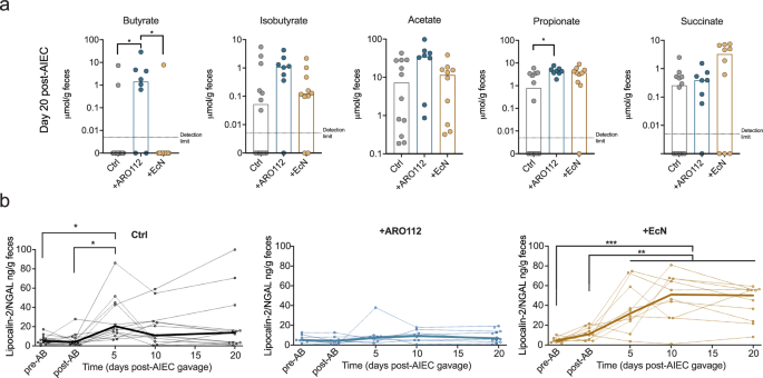 Fig. 6: SCFA levels and intestinal inflammation profiles of mice upon different probiotic treatments (ARO112, EcN) or lack thereof (Ctrl).