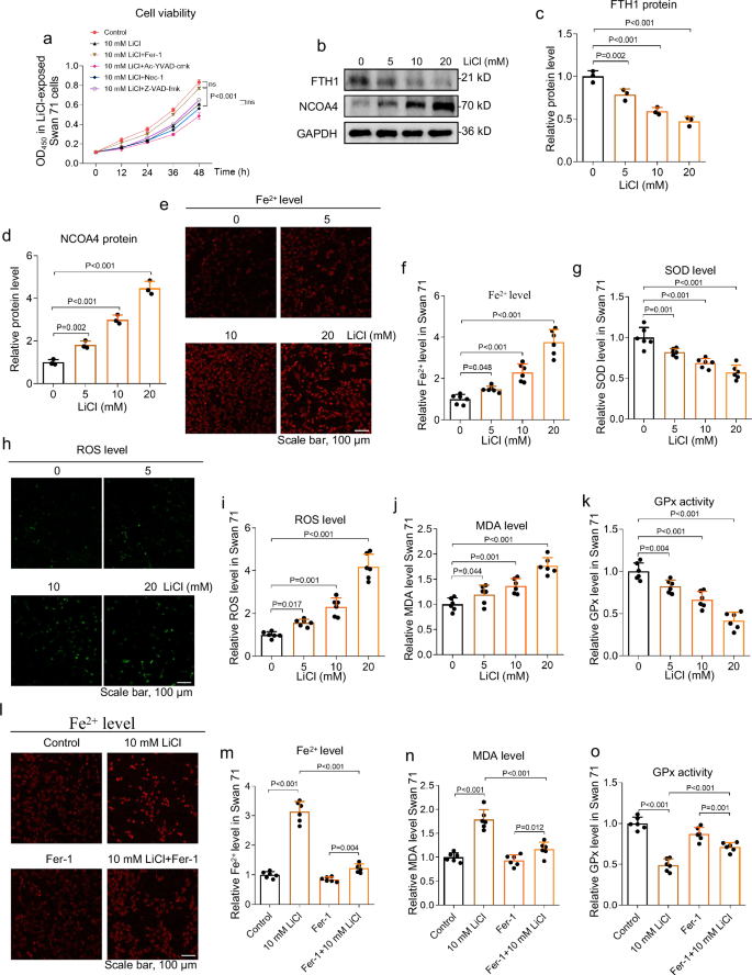 can glutathione cause miscarriage Lithium exposure causes ferroptosis to induce unexplained miscarriage  through non-canonical MBOAT1 pathway