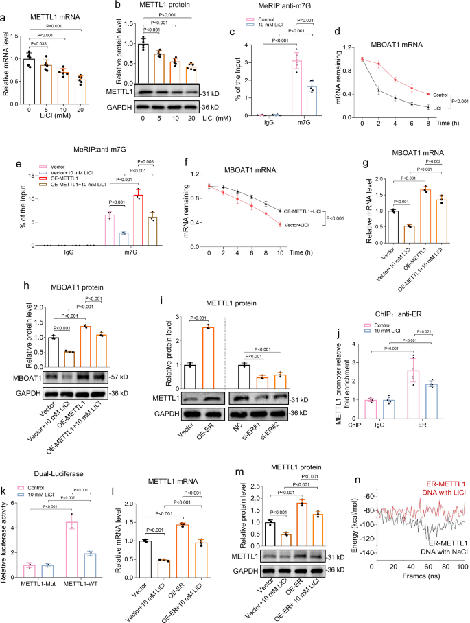 Lithium exposure causes ferroptosis to induce unexplained miscarriage through non-canonical MBOAT1 pathway | Nature Communications Lithium exposure causes ferroptosis to induce unexplained miscarriage through non-canonical MBOAT1 pathway | Nature Communications