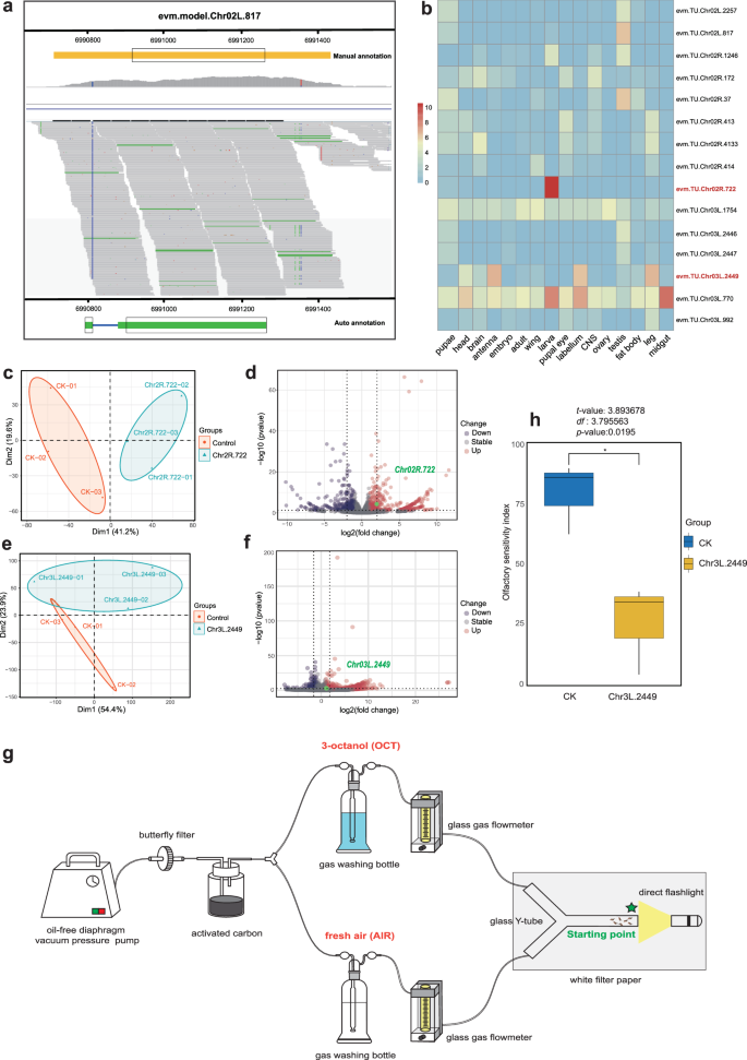 Fig. 4: Comprehensive analysis of gene identification and functional validation.