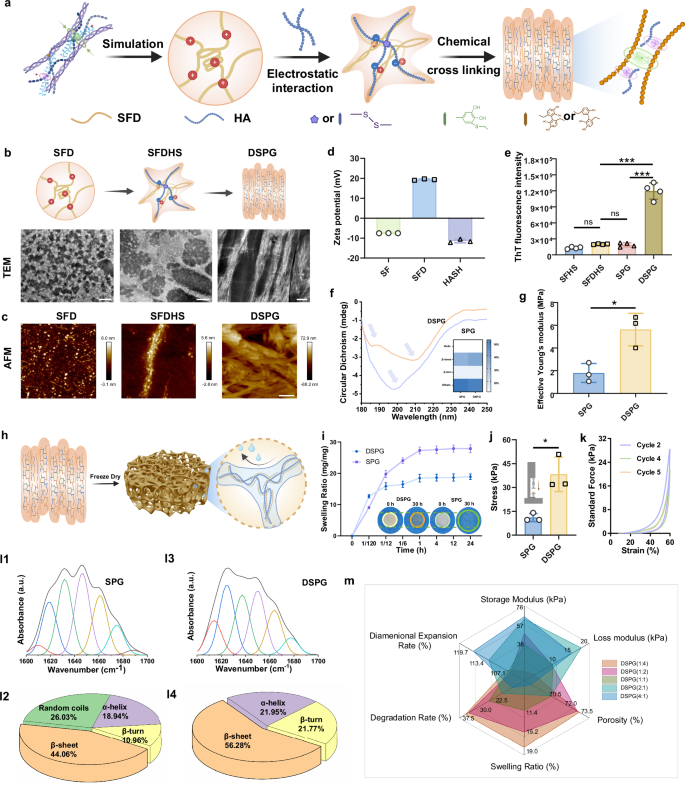 Fig. 2: Constructing DSPG by molecular-level co-assembly strategy.