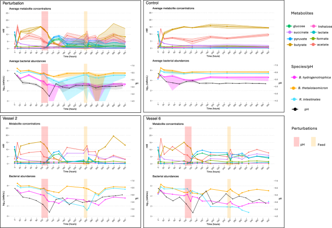 Fig. 6: Metabolite concentrations and bacterial abundances over time for replicate experiments in minibioreactors.